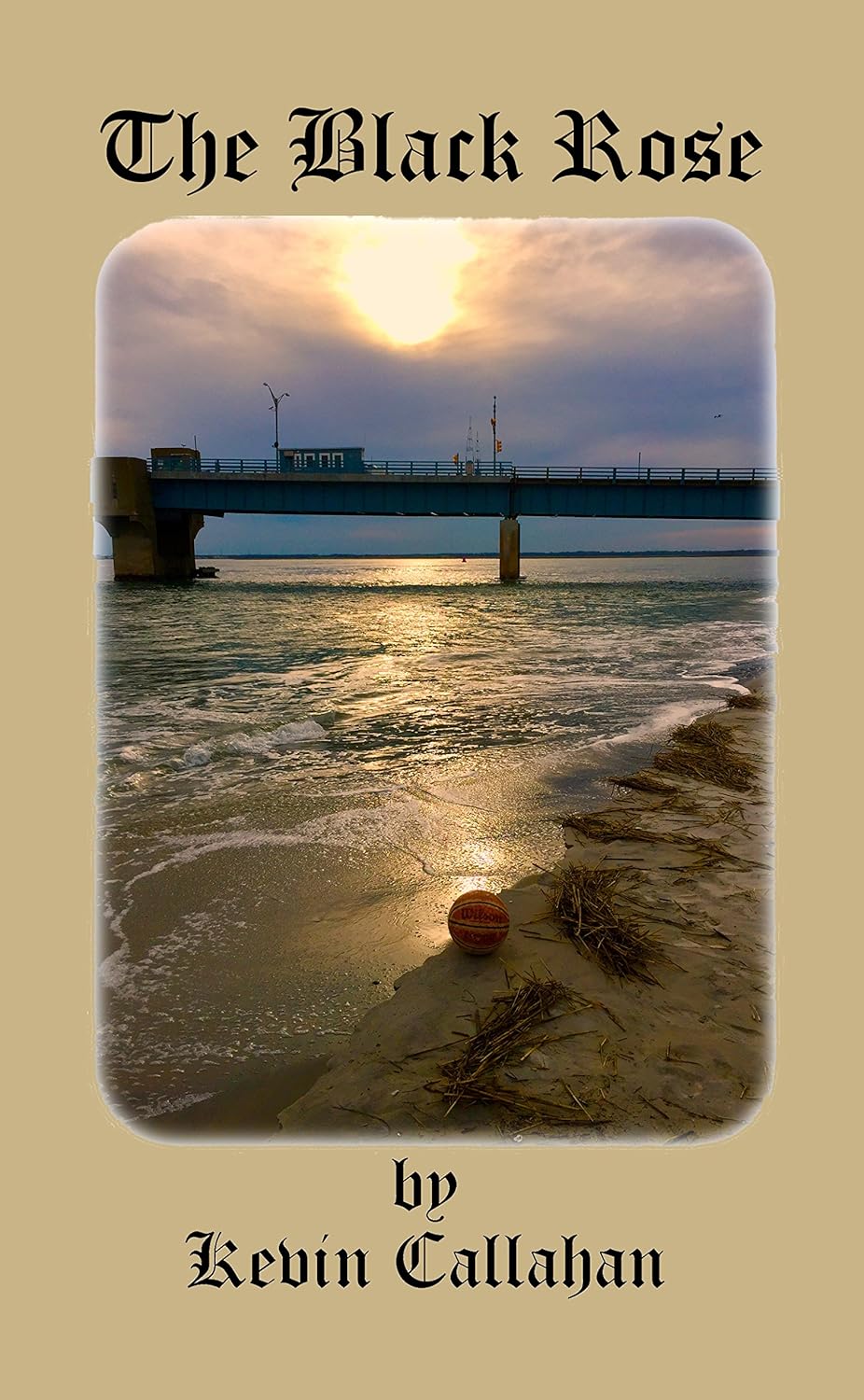 The Black Rose book cover